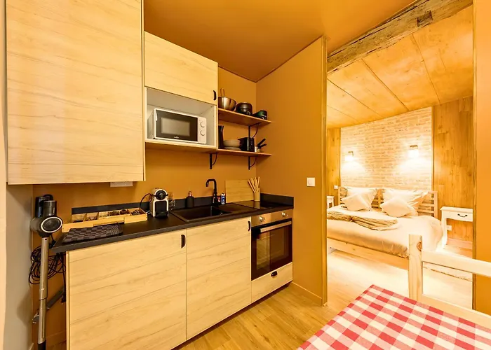 L'appart - Sauna - Hypercentre - Ambiance Montagne 公寓 *